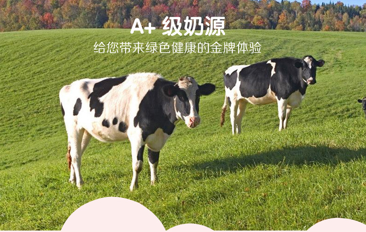 ��ݮ����Ʒ